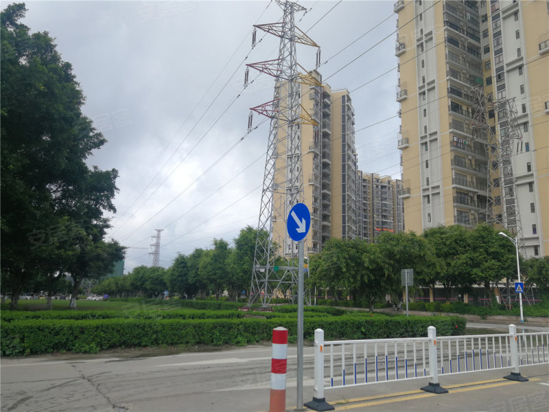 翡翠明珠