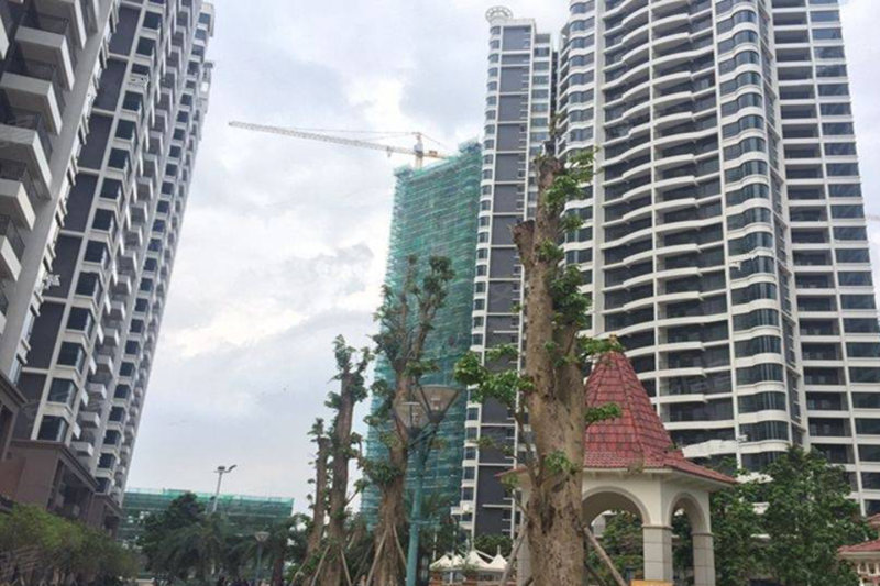 江门台山骏景湾豪庭-实景图(10) - 江门安居客