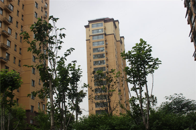 鹤壁漓江柳岸-实景图(11) - 鹤壁安居客