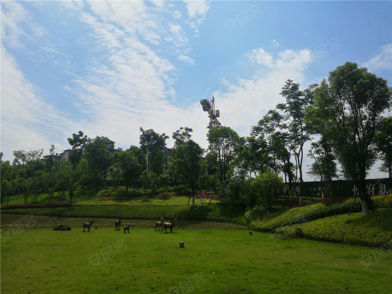 吉首市仁安·御香山-实景图(10) - 吉首市安居客