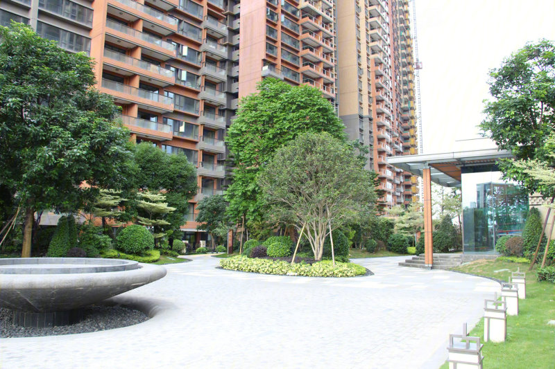 合景新鸿基泷景