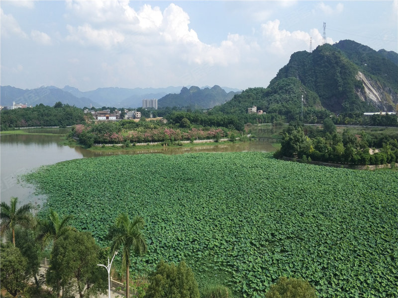 清远楼盘 英德楼盘 聚龙湖花园