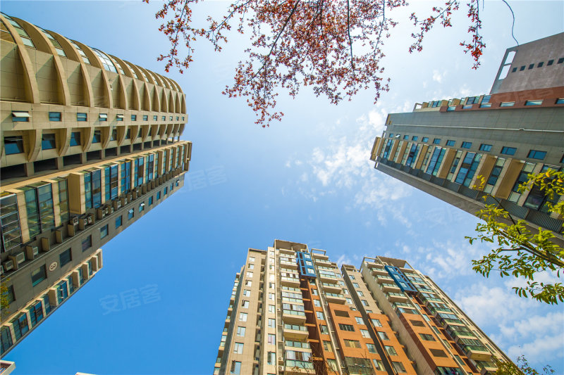 东都国际