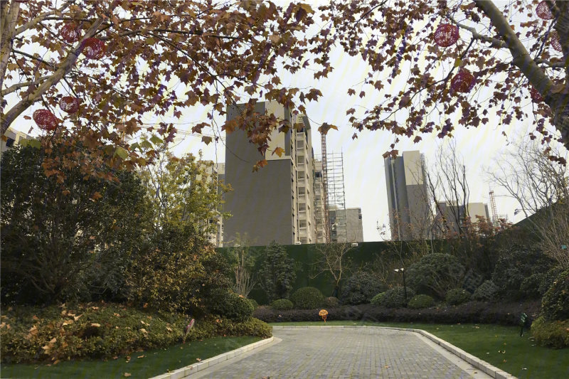 许昌建业桂园熙望-实景图(15) - 许昌安居客