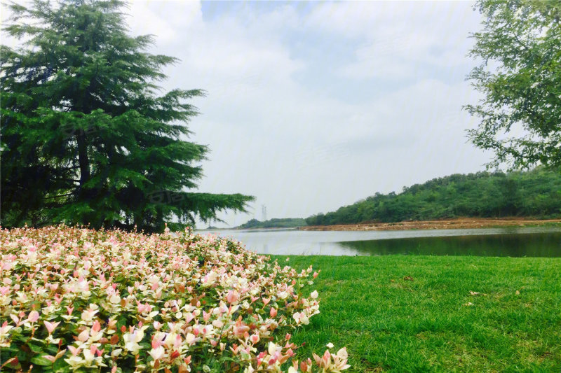 合肥鹭山湖-实景图(1) - 合肥安居客