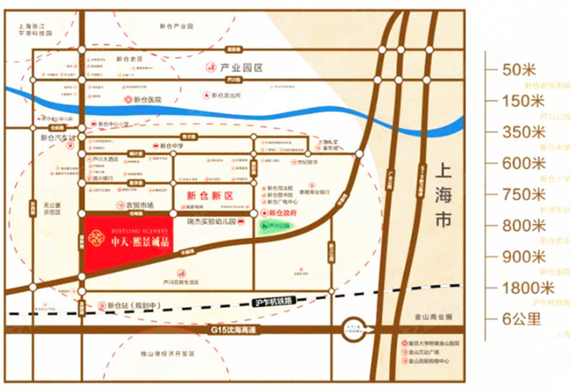 新仓镇人口_人口老龄化(3)