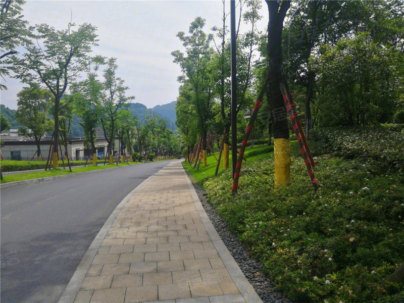 吉首市仁安·御香山-实景图(17) - 吉首市安居客