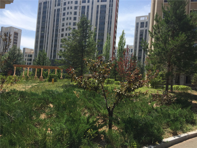 鄂尔多斯文澜雅筑-实景图(19) - 鄂尔多斯安居客