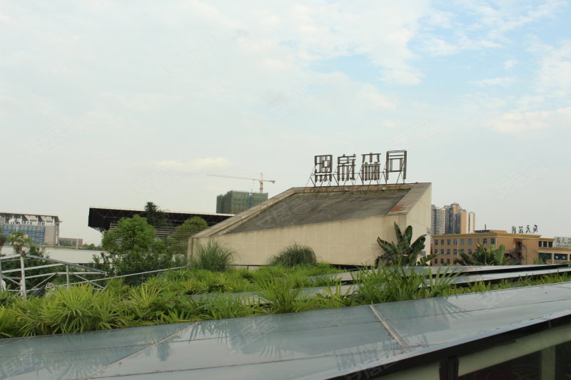 同森锦熙