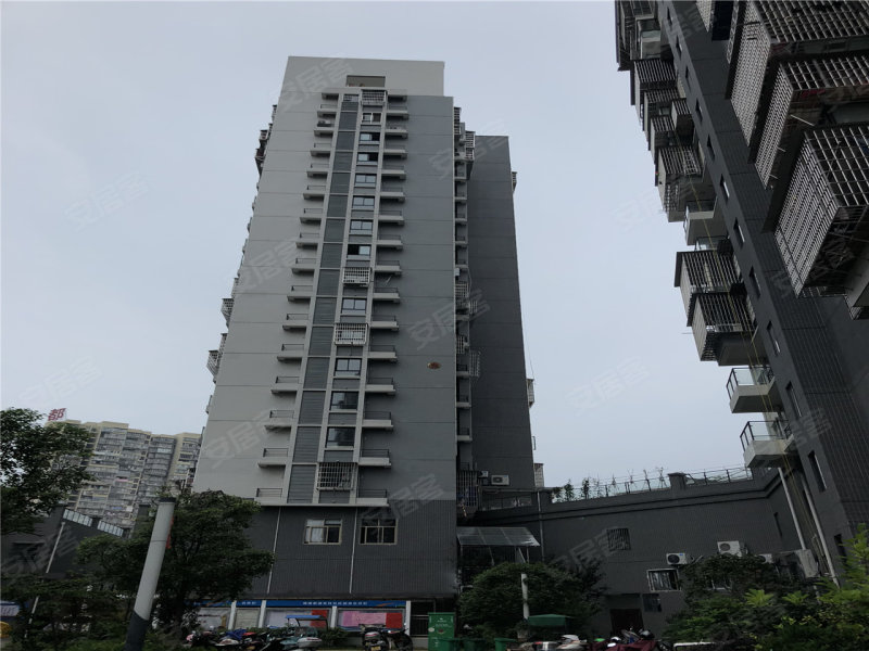 金鼎观湖