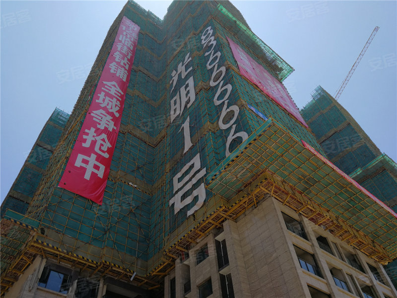 普宁·光明1号