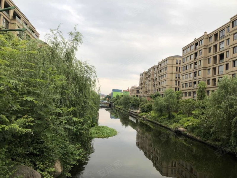 舜大涌金湾