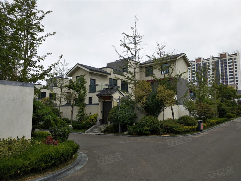 山水龙庭