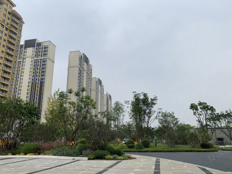成都深业四季华庭-实景图(4 成都安居客