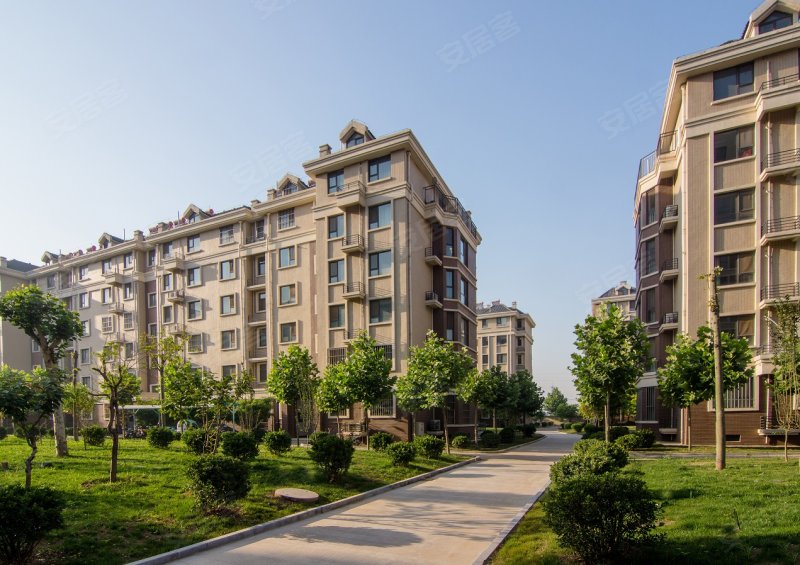 邢台国际新城-实景图(11) - 邢台安居客
