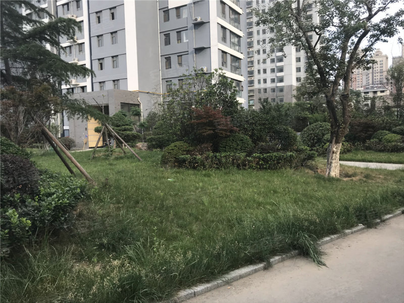 临沂中楷信·清水湾花园-实景图(3) - 临沂安居客