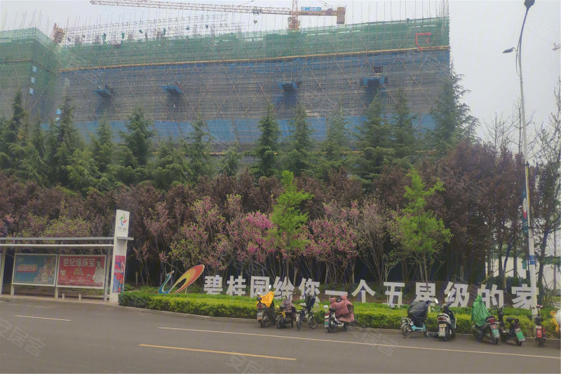 泰安碧桂园·湖悦天境-实景图(3 泰安安居客