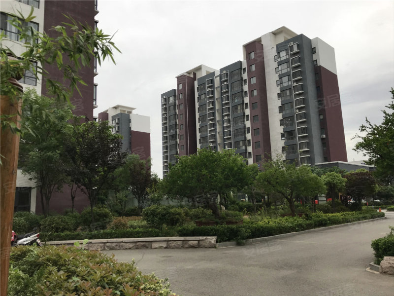 枣庄安侨东城国际-实景图(14 枣庄安居客