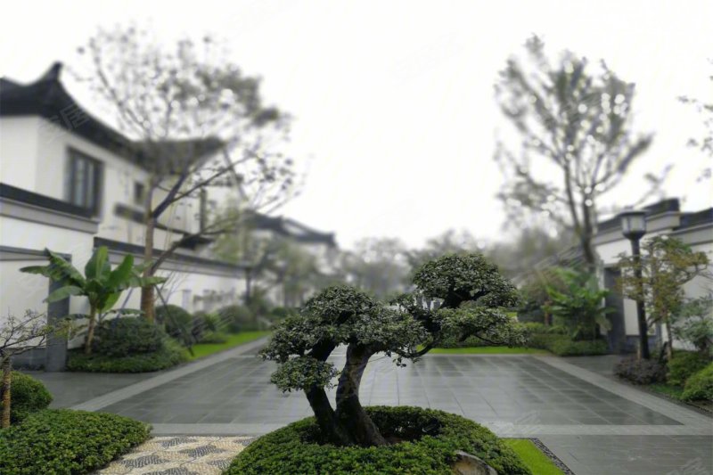 贵阳和泓蓝城桃花源,蓝城桃花源,和泓桃春风绿城_文秘苑图库