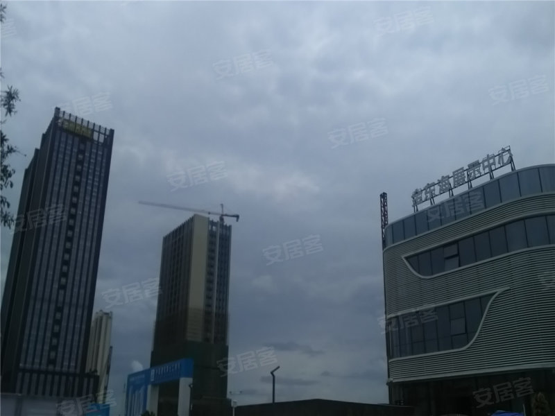 金东海领荟湾