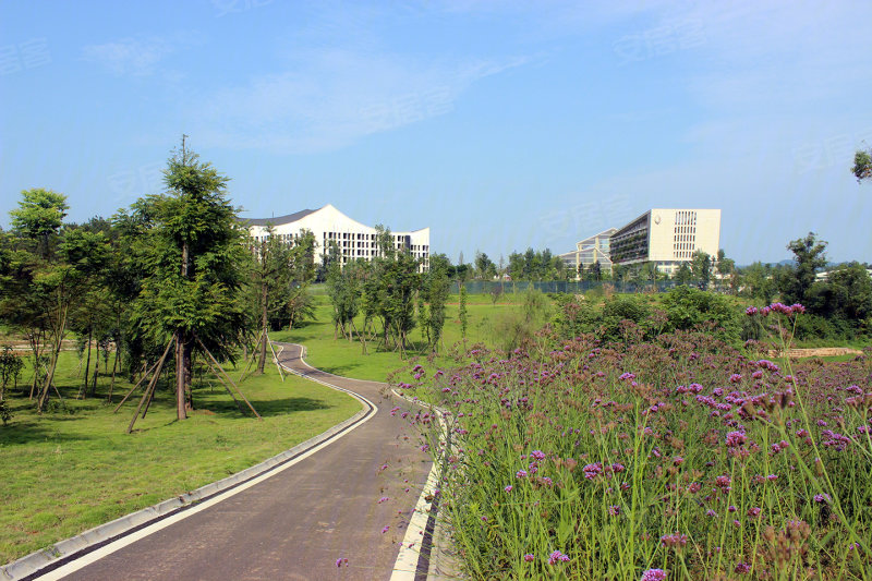 眉山黑龙滩长岛国际旅游度假区-实景图(5) - 眉山安居