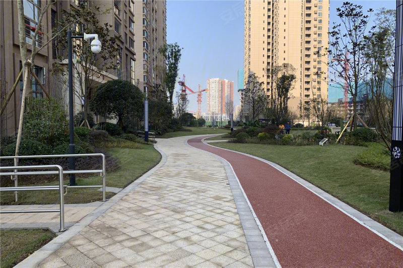 泽京海棠香国香溪樾