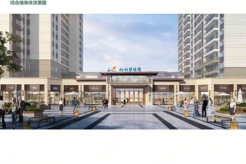 南阳桐柏碧桂园-效果图(4) - 南阳安居客