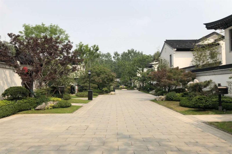 蓝城桃花源小镇,蓝城桃花源,蓝城桃花源合院(第12页)_大山谷图库