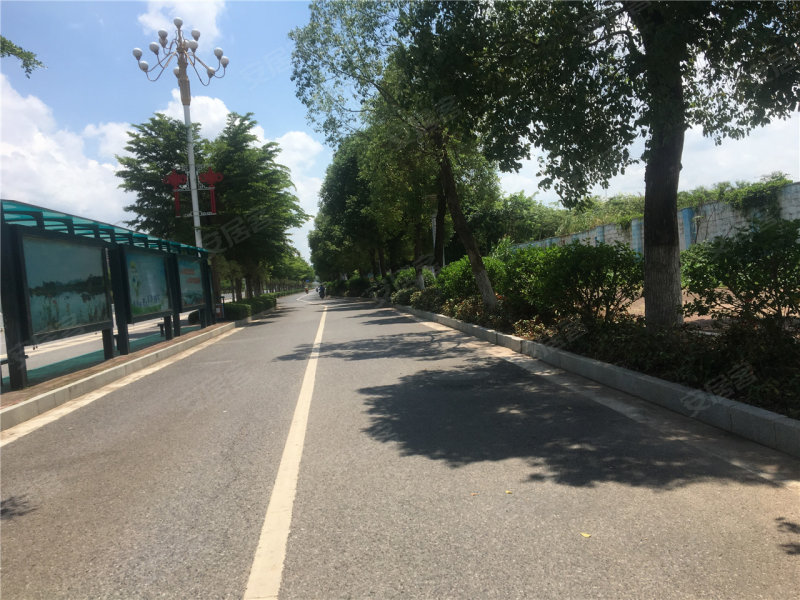 盛世翰林杏林居