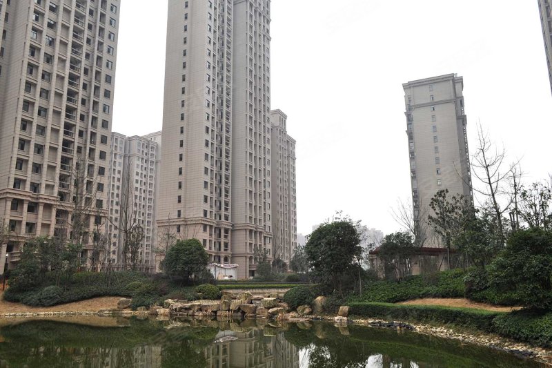 长沙纳爱斯阳光丽城-实景图(23) - 长沙安居客