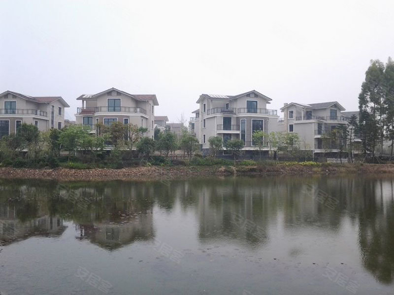 麒麟湾畔