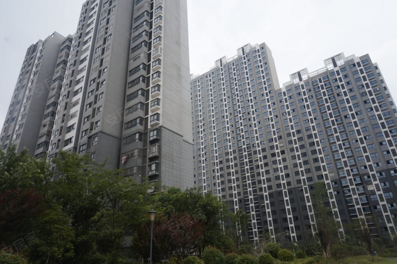 新沂钟吾壹号-实景图(45) - 新沂安居客