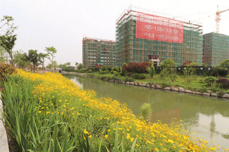 衢州志城蓝湾-实景图(1 衢州安居客