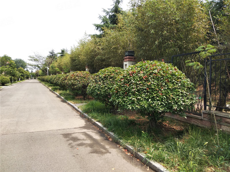 临沂福布斯湾-实景图(31) - 临沂安居客