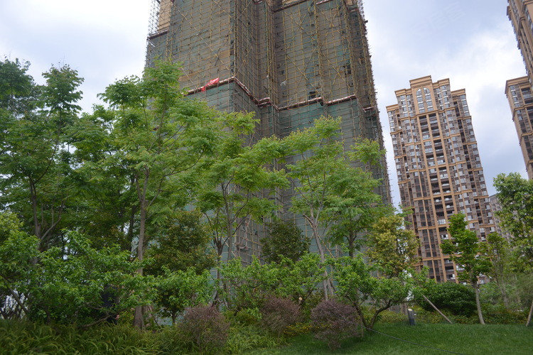 德阳香江华府-实景图(71) - 德阳安居客