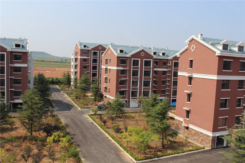 青岛金府花园-实景图(13) - 青岛安居客