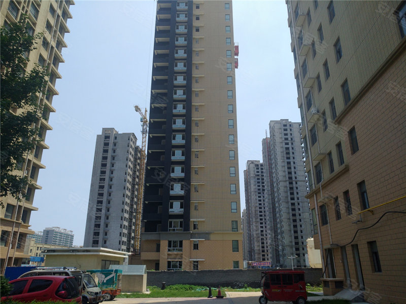 金柱绿城