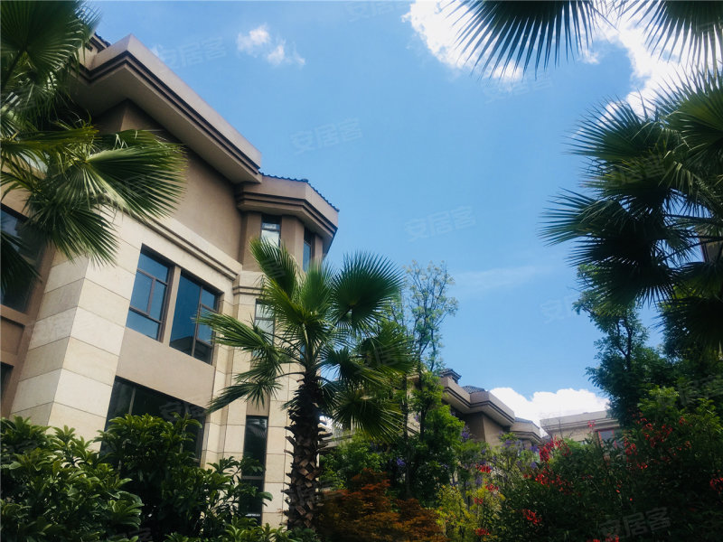 玉溪城市林语-实景图(11) - 玉溪安居客