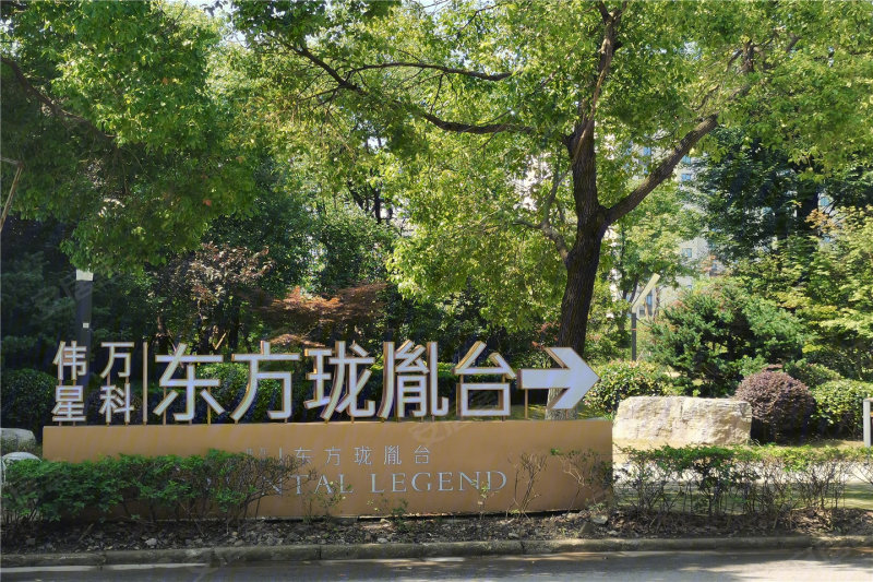 芜湖伟星万科东方珑胤台-实景图(11 芜湖安居客