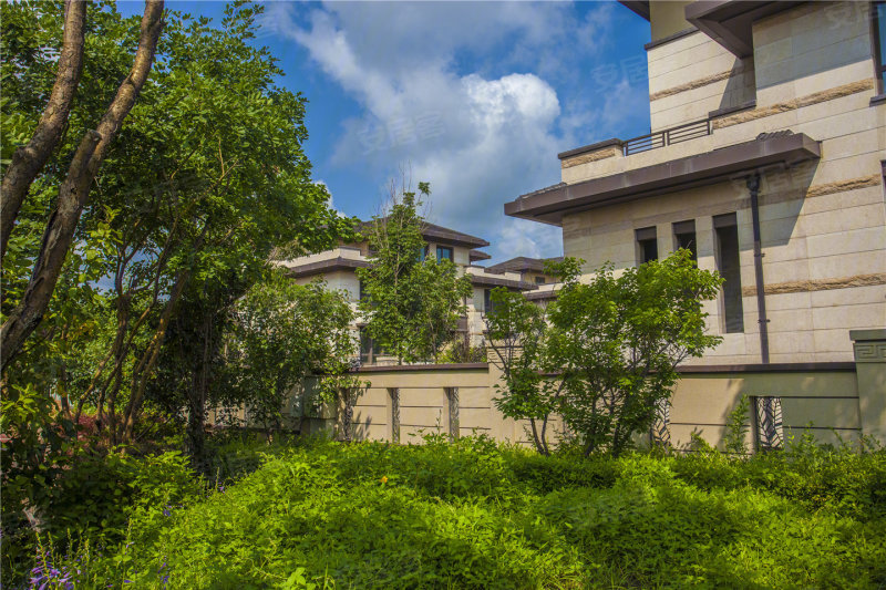 长春国信南山-实景图(63) - 长春安居客