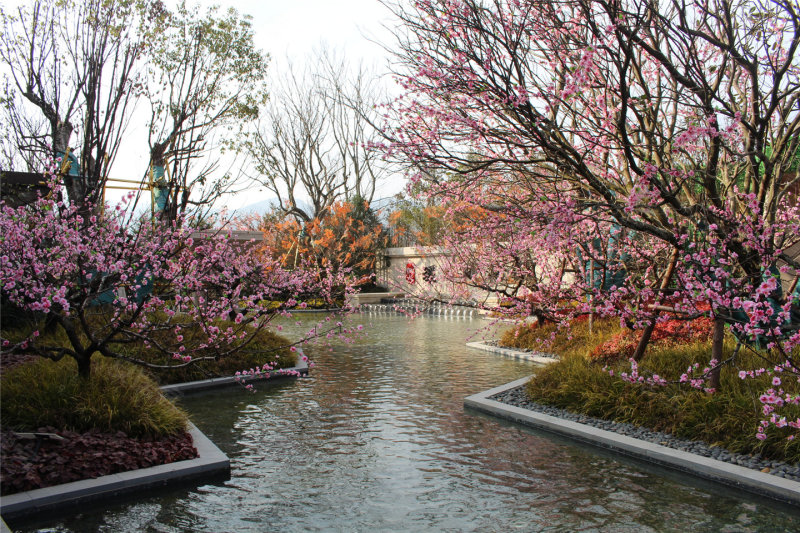 宁波恒大溪上桃花源-实景图(7) - 宁波安居客