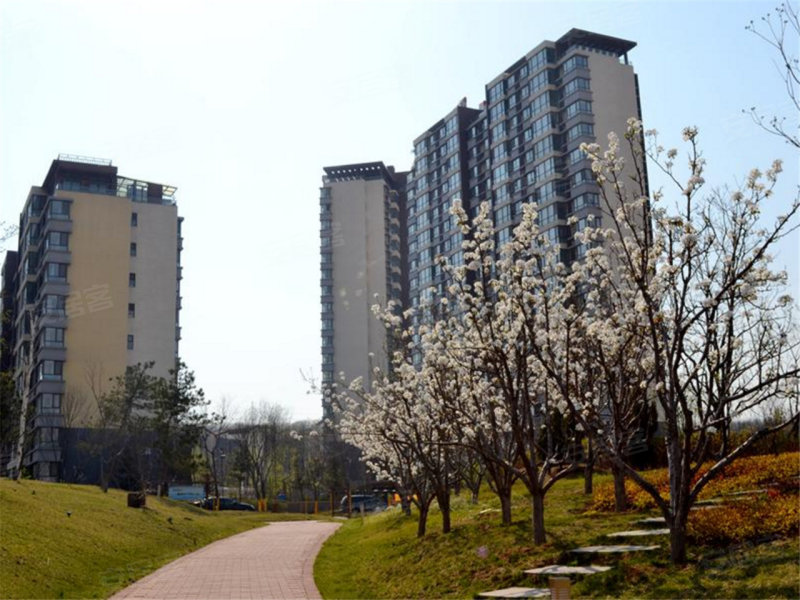 鞍山颐和城-实景图(18) - 鞍山安居客