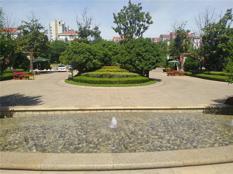 新泰绿城玉兰花园-实景图(4 新泰安居客