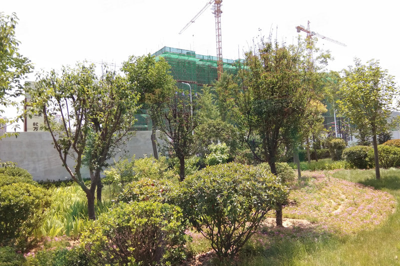 烟台山语城-实景图(6) - 烟台安居客