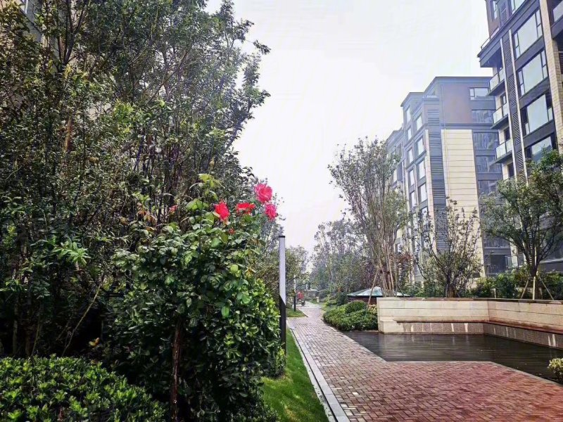 名门俏江南