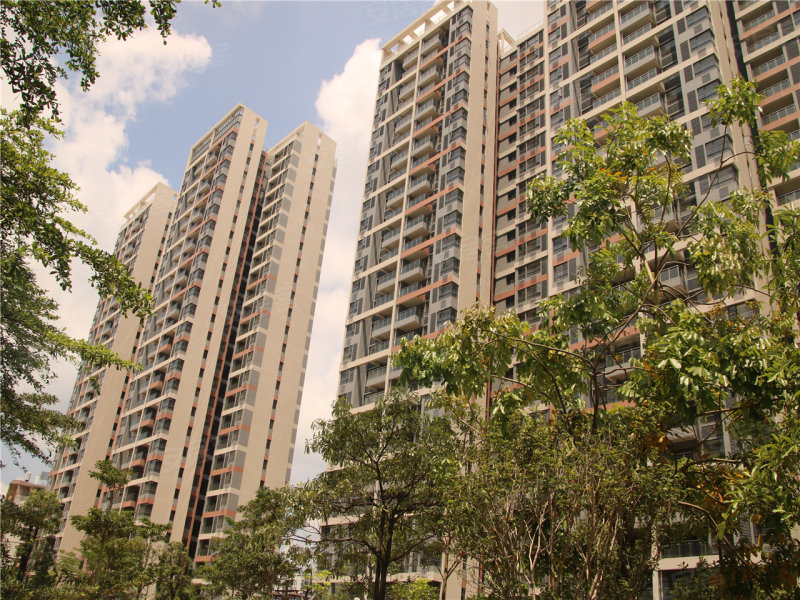 江门金河湾豪庭-实景图(8) - 江门安居客