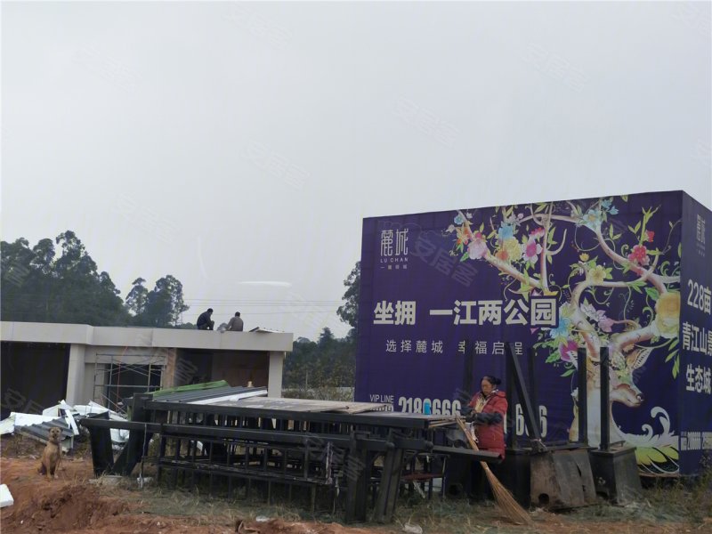 乐山麓城地理位置,乐山麓城,乐山麓城进度(第14页)_大山谷图库
