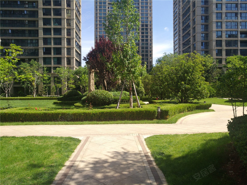 新泰绿城玉兰花园-实景图(6 新泰安居客