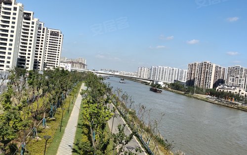 项目边上董公堤路景观大运河,夜跑的好地方