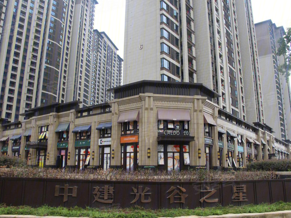 武汉楼盘 东湖高新楼盘 光谷东楼盘 中建光谷之星